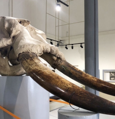 LE MUSEE DES CIVILISATIONS DE COTE D’IVOIRE