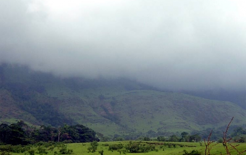 Réserve naturelle Intégrale du Mont Nimba