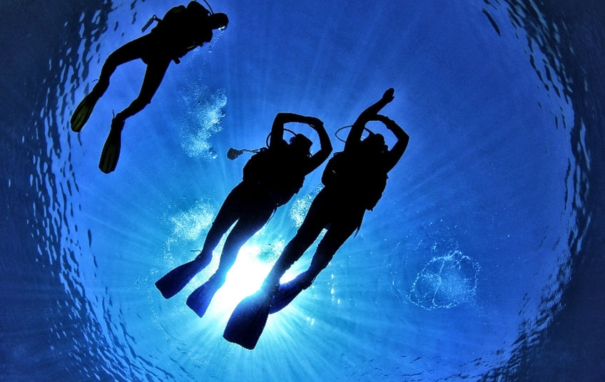 Plongée sous-marine