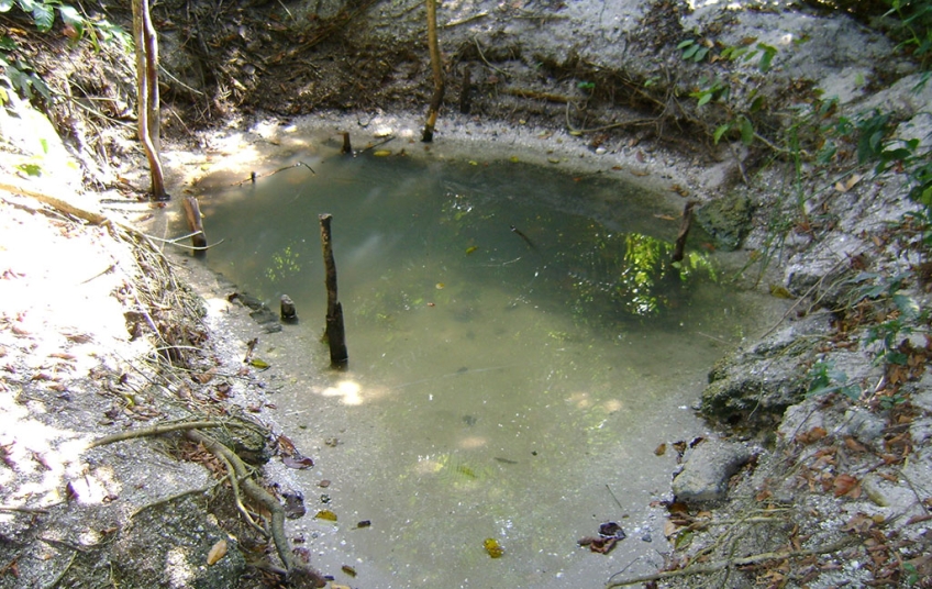 Parc National des Iles Ehotilé