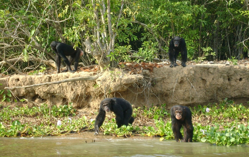 Parc National d’Azagny
