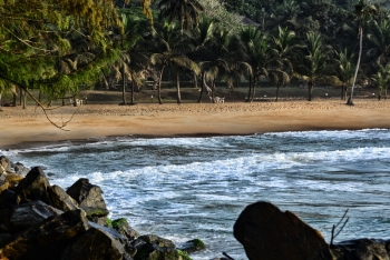 La région de San Pedro