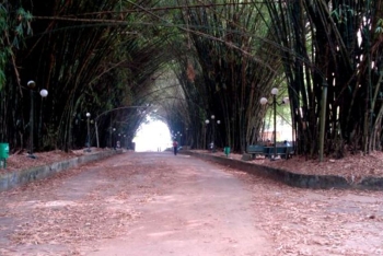 Le Jardin Botanique de Bingerville