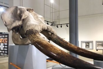 LE MUSEE DES CIVILISATIONS DE COTE D’IVOIRE