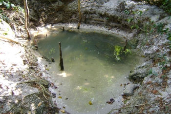 Parc National des Iles Ehotilé