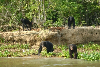 Parc National d’Azagny