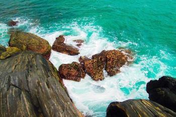 Campagne d'affichage